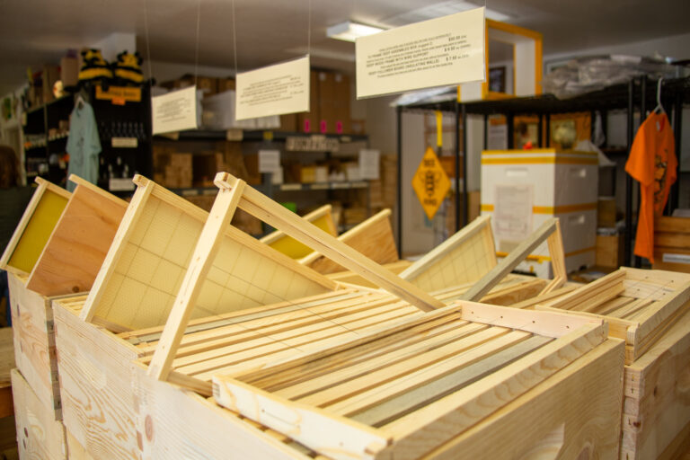 beekind store sebastopol ca beekeeping supplies, honey, tea, candles