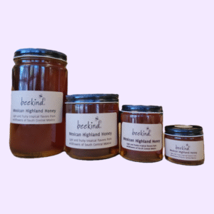 Mexican Highland Raw Wildflower Honey Beekind