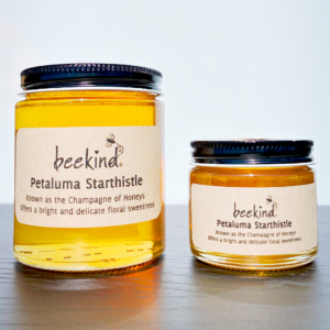 Petaluma Starthistle Honey