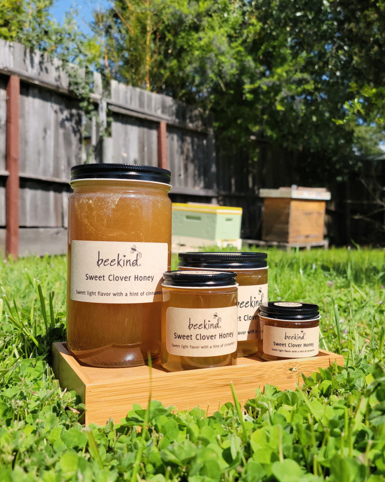 Four sizes of Sweet Clover Honey in front of beehive
