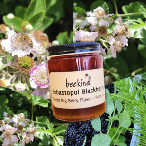 Sebastopol Blackberry Honey